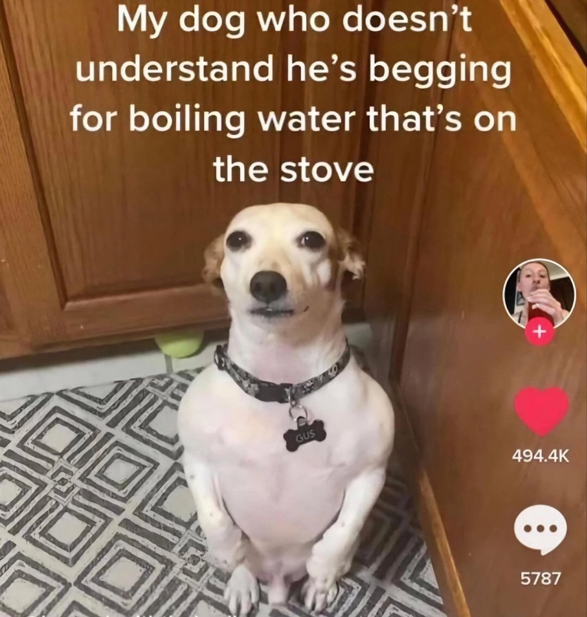 mora #S1NNER🇦🇷 tweet media