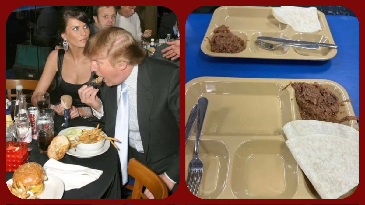 Sophia Miller tweet media