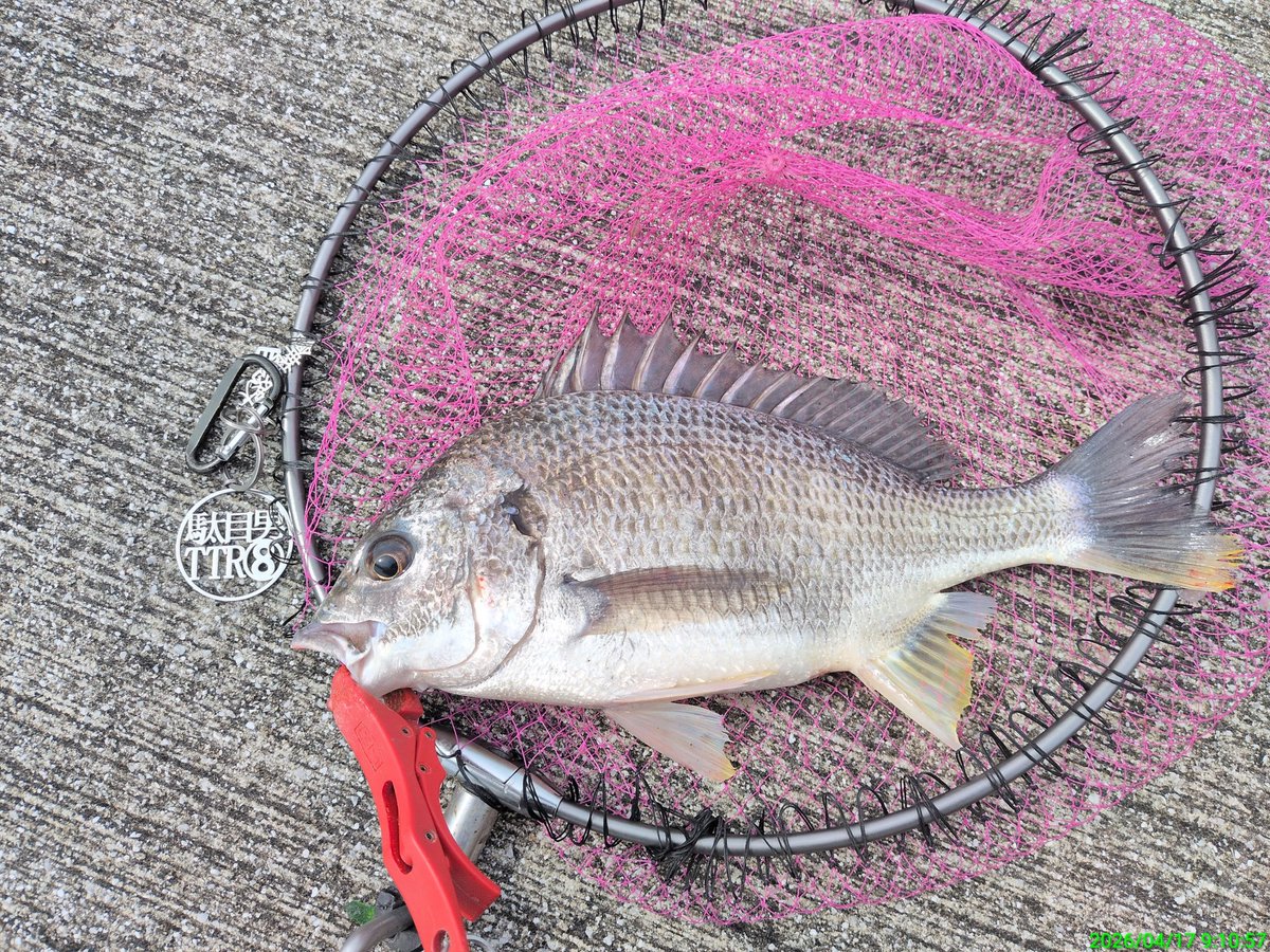 島ちゃん黒魂🌈 tweet media