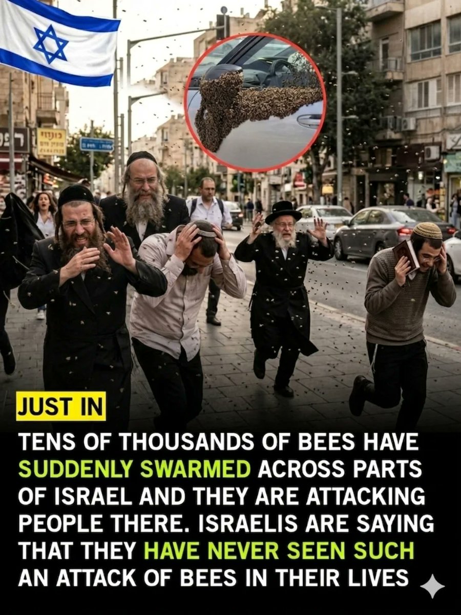 The World R🅰️nking tweet media