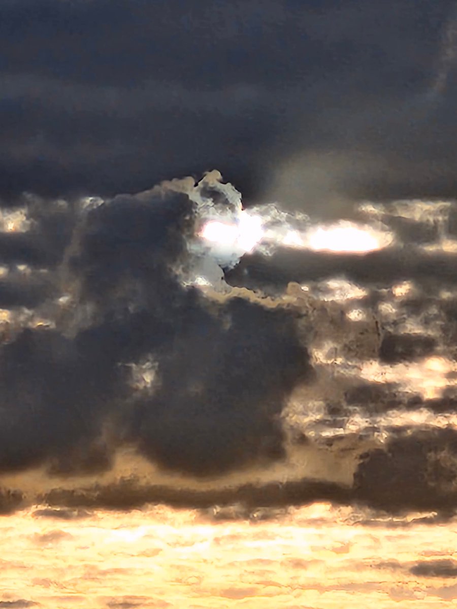 Shekar Iyer tweet media