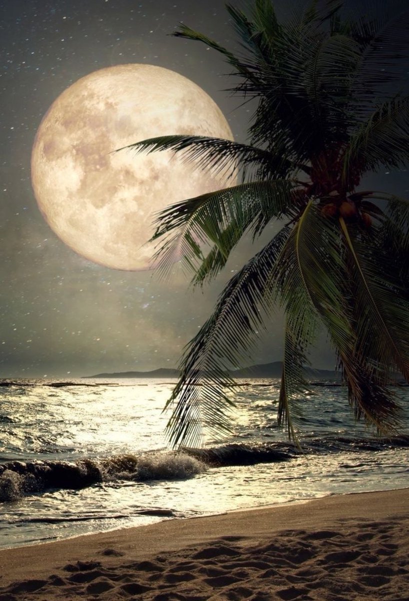 “Hay noches en las que 
el cielo no parece un 
límite,sino una invitación,
donde el silencio nos
permite escuchar nuestros 
deseos más profundos y nos
da el valor de estirar la mano
y tocar lo eterno. Que nunca 
te falte la escalera para 
alcanzar tu propia luz..”
#FelizNoche🌙💫