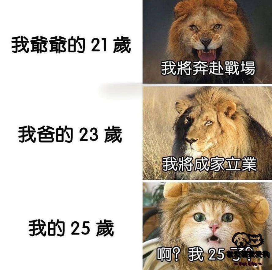 德里克迷因轉貼 tweet media