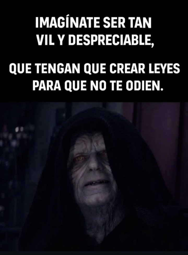 Capincho Dundee tweet media