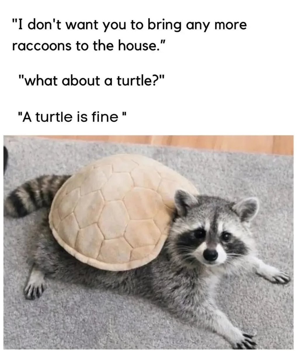 David Knuth tweet media