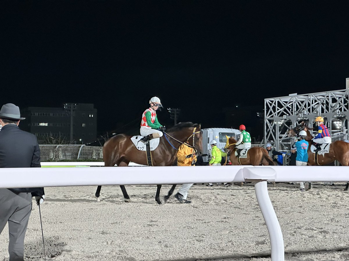 ＫＴＭ🏝️IPPON競馬 tweet media