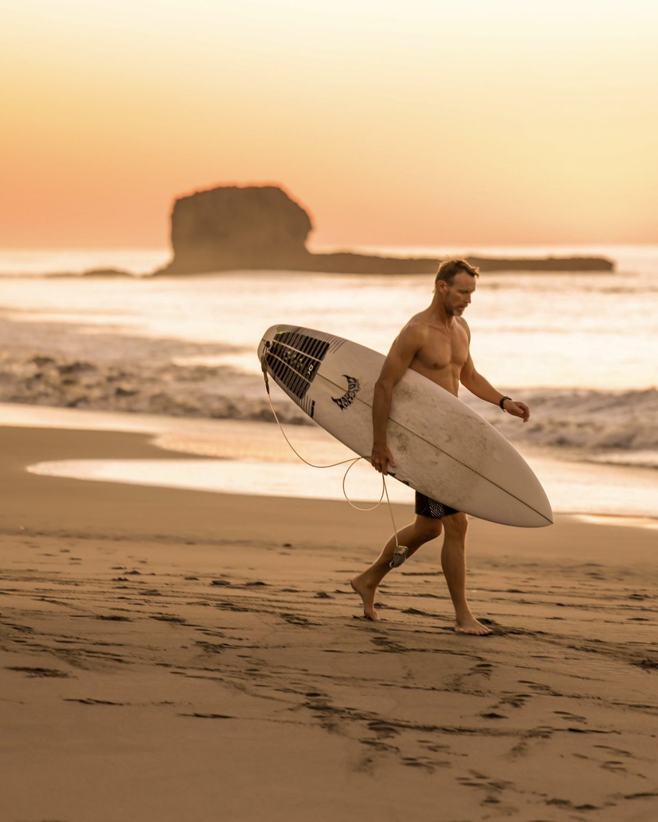 Surf City tweet media