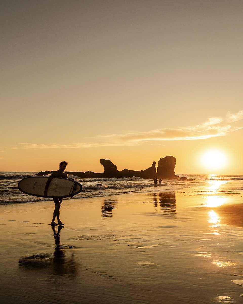 Surf City tweet media