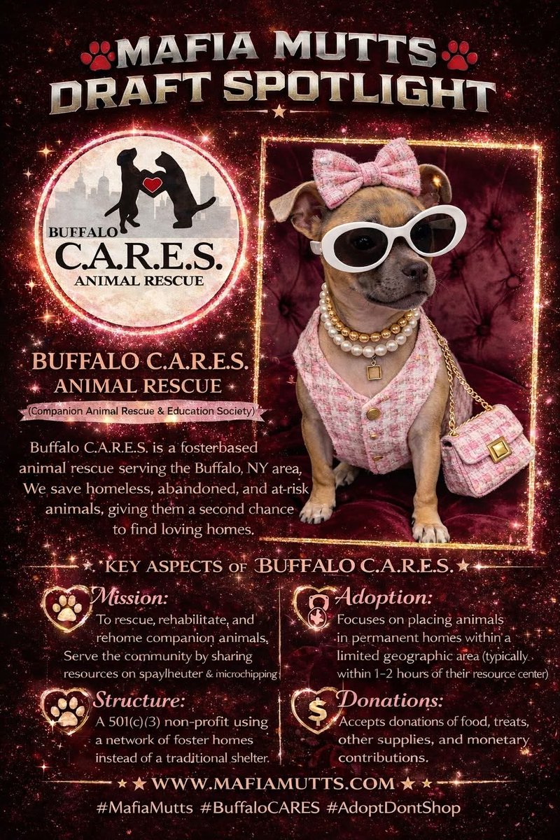 Buffalo C.A.R.E.S. tweet media