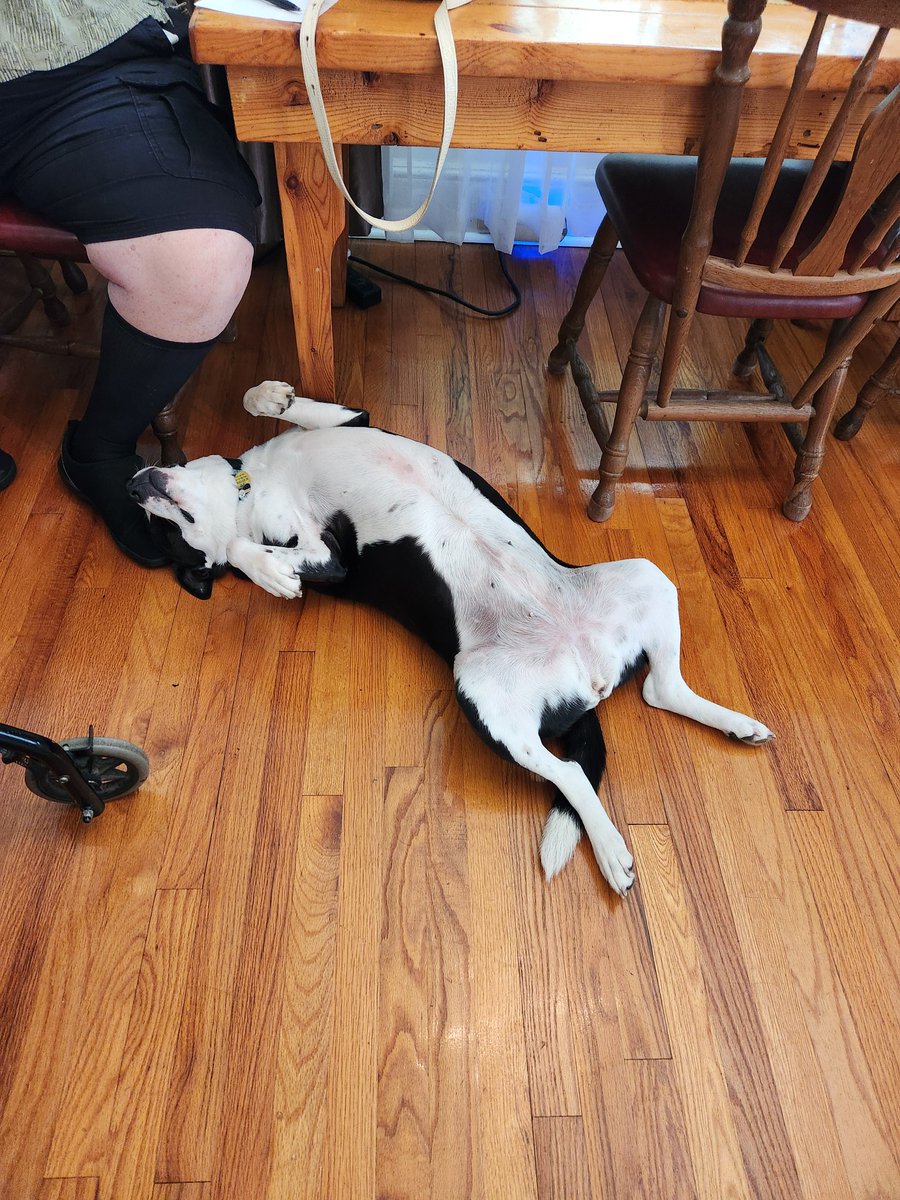 ck48526's tweet photo. @PhilSledge Her favorite position. https://t.co/Qz5fdH4Q9u