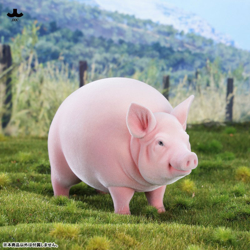 AmiAmi English tweet media