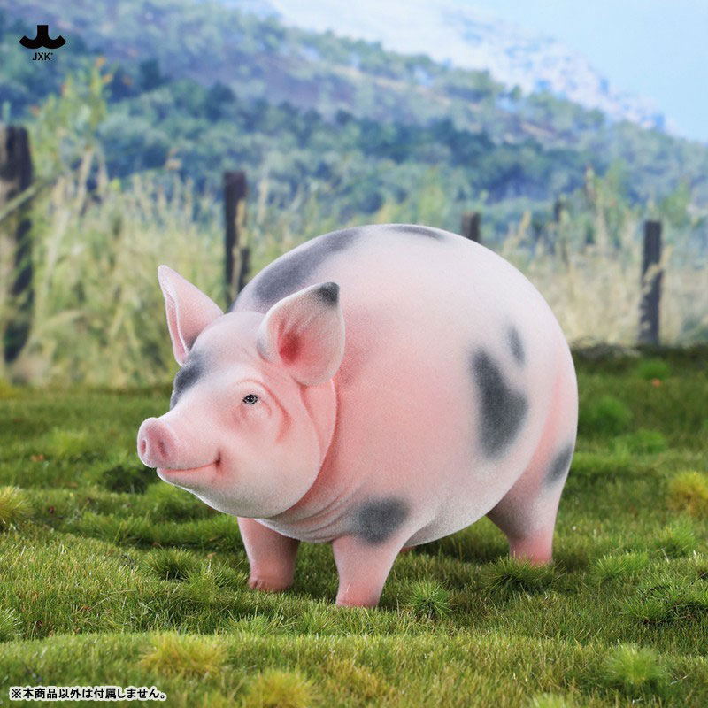 AmiAmi English tweet media