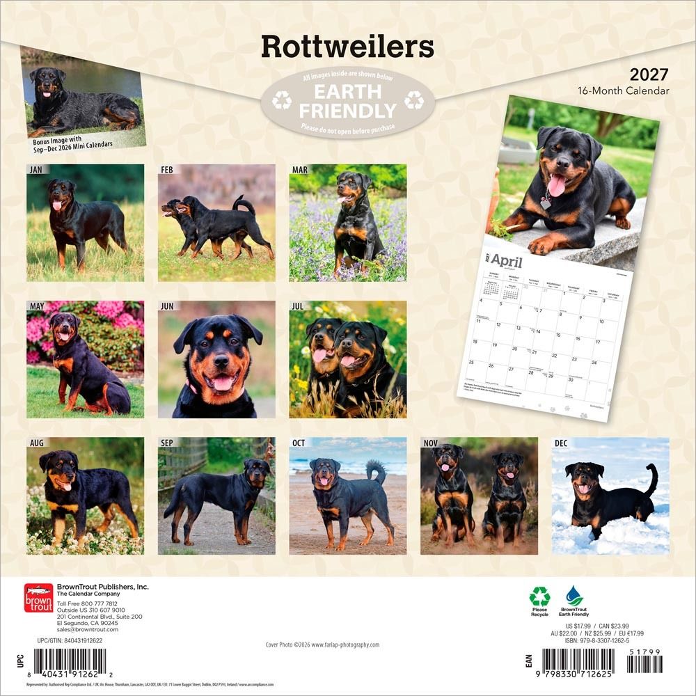 browntroutpub's tweet image. Intelligent and loyal, the #Rottweiler is both a guardian and friend. A hardworking #dog, it has a confident, calm, and reliable demeanor to go along with its exceptionally powerful physique. Rottweiler fans will enjoy this fabulous #calendar. #pets buff.ly/MLNeq5z