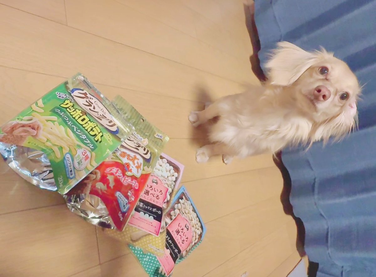 あみき◎yui tweet media