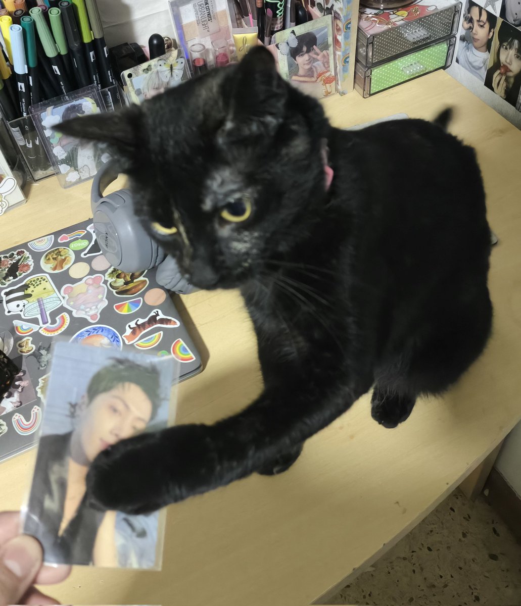 aiden☆⁶³ tweet media