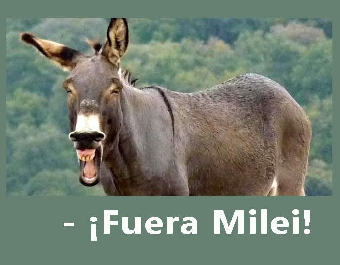 Carlos Quintana (@consiliumba) on Twitter photo 