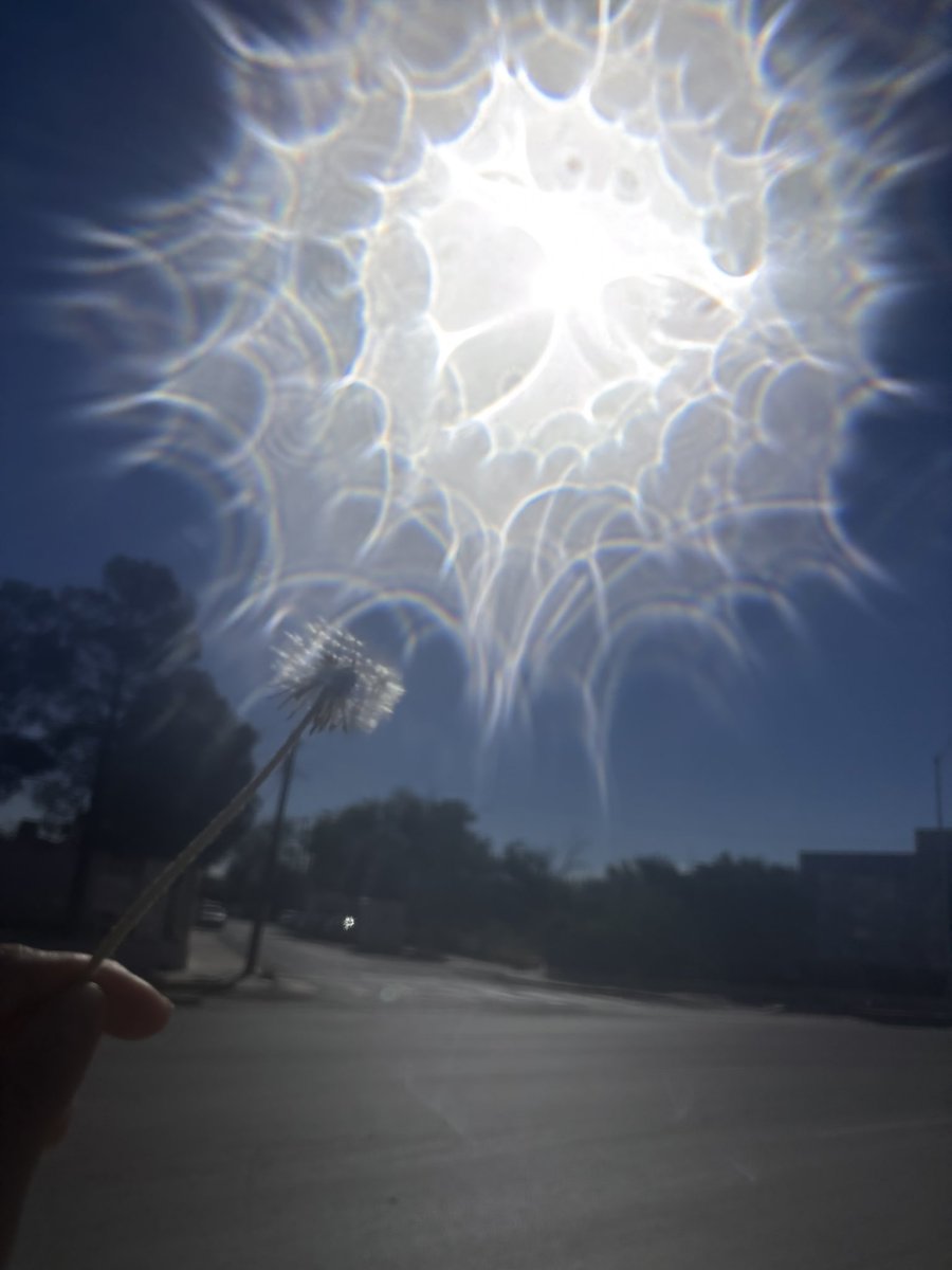 ✨ 🅶🆈🅻✨ tweet media