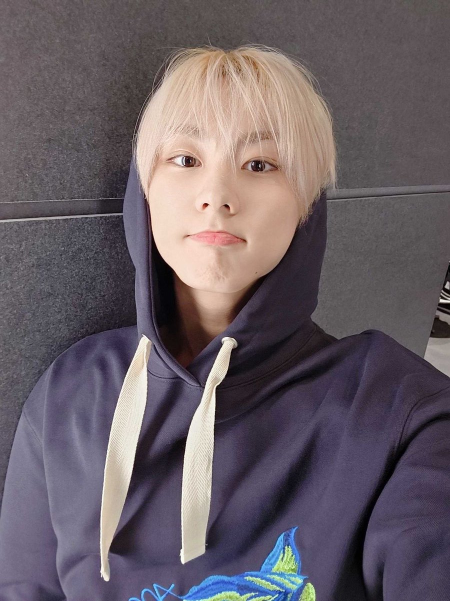 isabella | ENHYPEN IS 7 tweet media