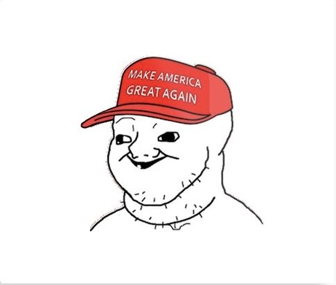 Drake_Maye_Groyper tweet media