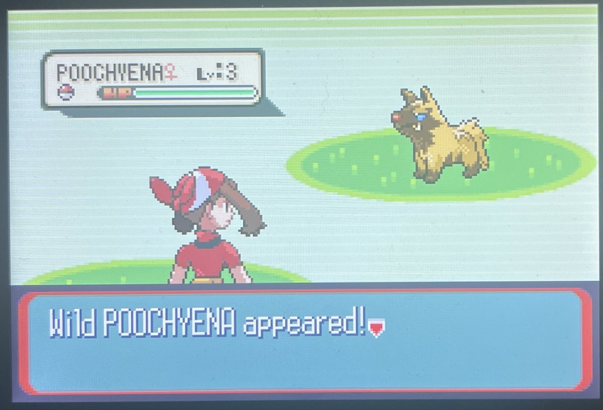 ShinyHunter_DD tweet media