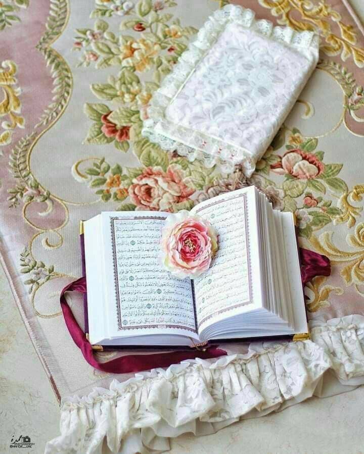 خــالد ملګــری tweet media