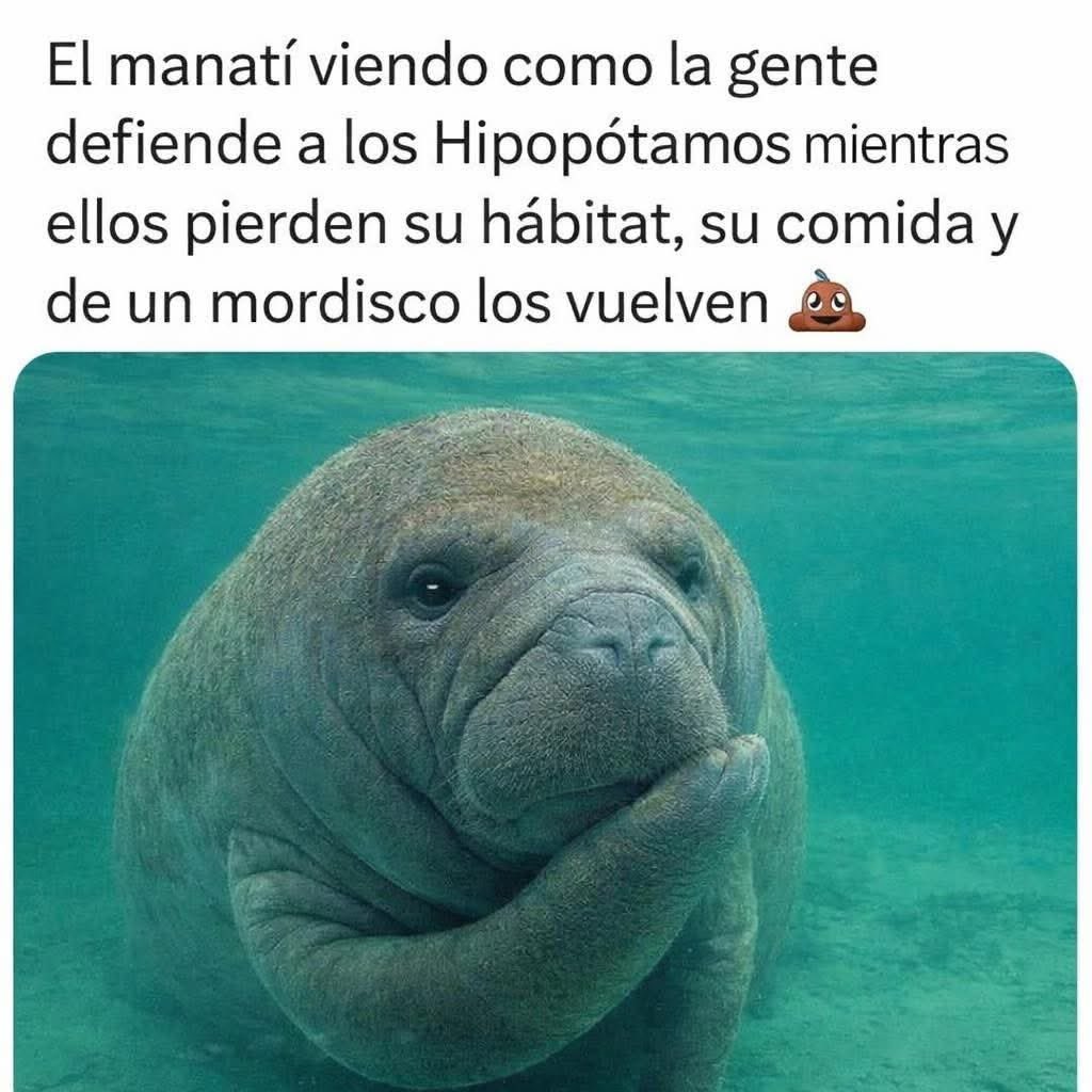 Memes Universidad Nacional tweet media