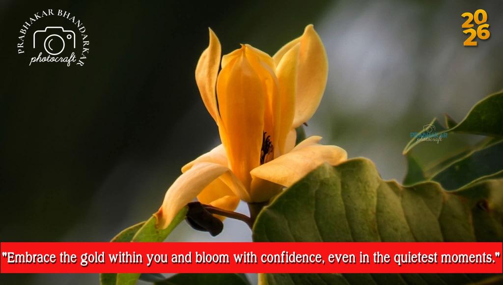 Prabhakar54's tweet photo. 𝗘𝗠𝗕𝗥𝗔𝗖𝗘 𝗧𝗛𝗘 𝗚𝗢𝗟𝗗 𝗪𝗜𝗧𝗛𝗜𝗡 𝗬𝗢𝗨 𝗔𝗡𝗗 𝗕𝗟𝗢𝗢𝗠 𝗪𝗜𝗧𝗛 𝗖𝗢𝗡𝗙𝗜𝗗𝗘𝗡𝗖𝗘, 𝗘𝗩𝗘𝗡 𝗜𝗡 𝗧𝗛𝗘 𝗤𝗨𝗜𝗘𝗧𝗘𝗦𝗧 𝗠𝗢𝗠𝗘𝗡𝗧𝗦. https://t.co/jIgWjVYnrX