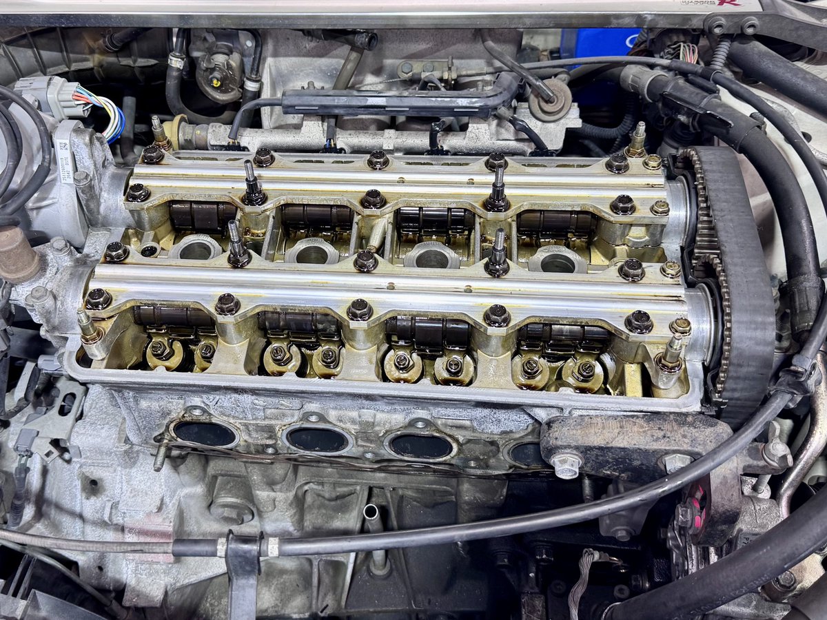 BackYard SPECIAL【公式】 tweet media