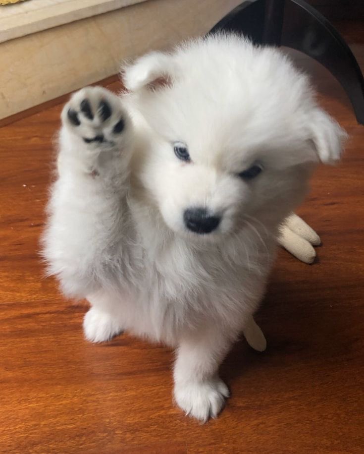 miu ᢉ𐭩 tweet media