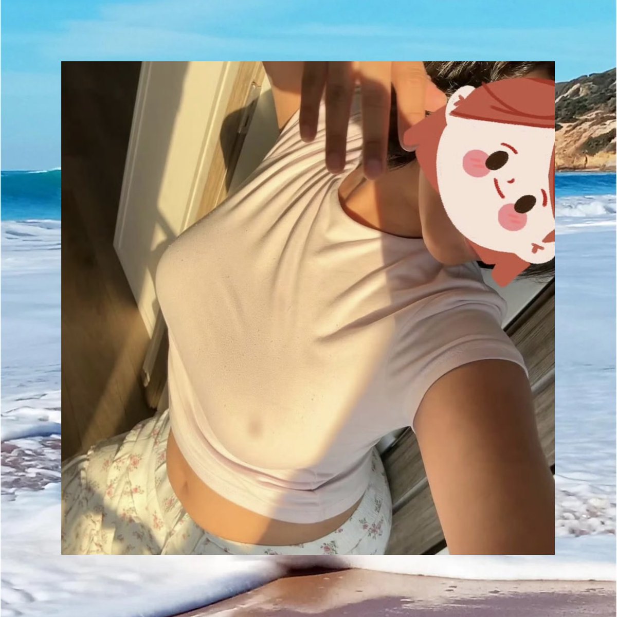 Shawn Tope tweet media