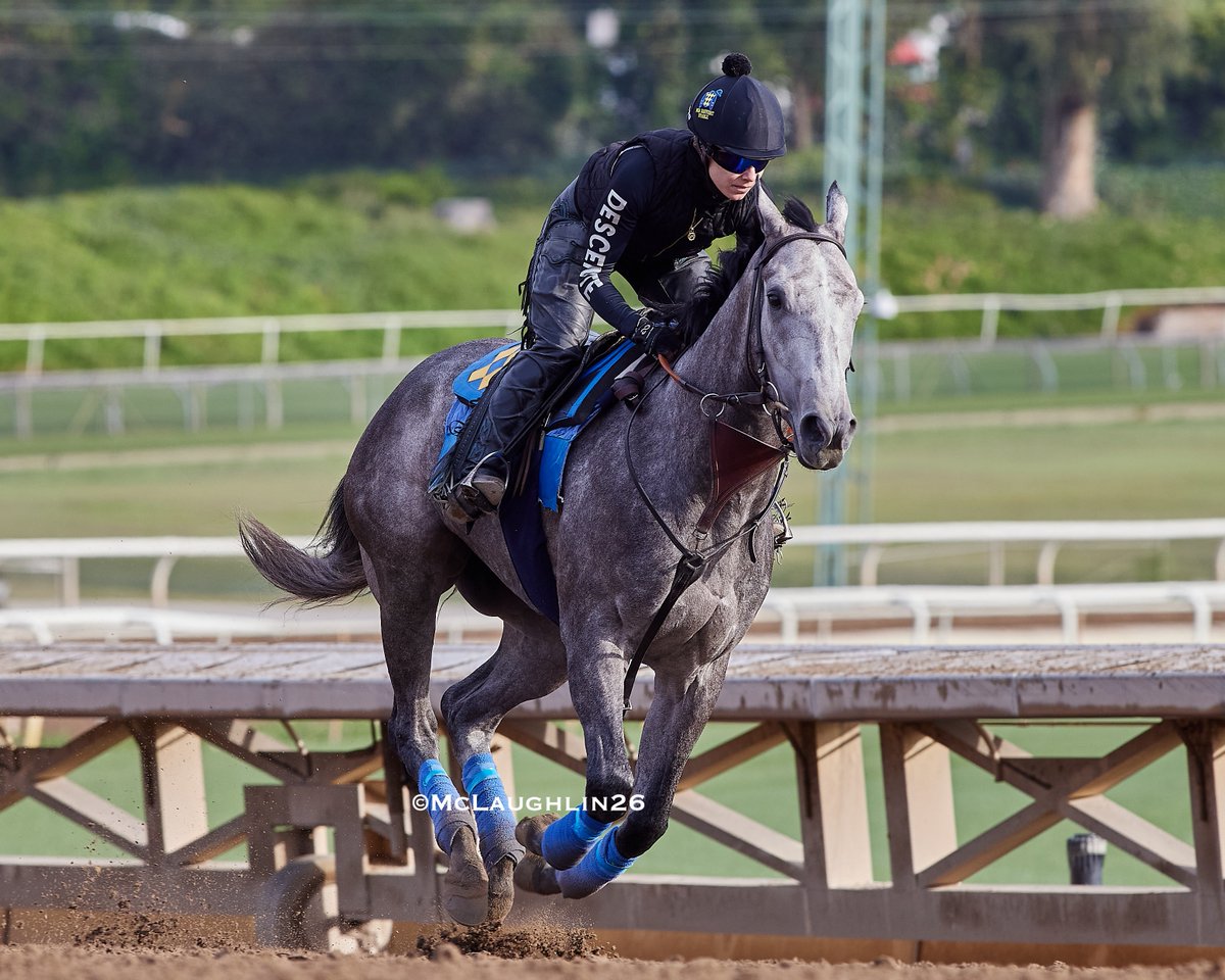 kimo16's tweet photo. Kentucky Oaks bound Bottle of Rouge this morning under Morgane Kervarrec for HoF trainer Bob Baffert @santaanitapark @DerbyMedia @KentuckyDerby @BobBaffert @Morgane_mmk https://t.co/XTGt9UXcSd