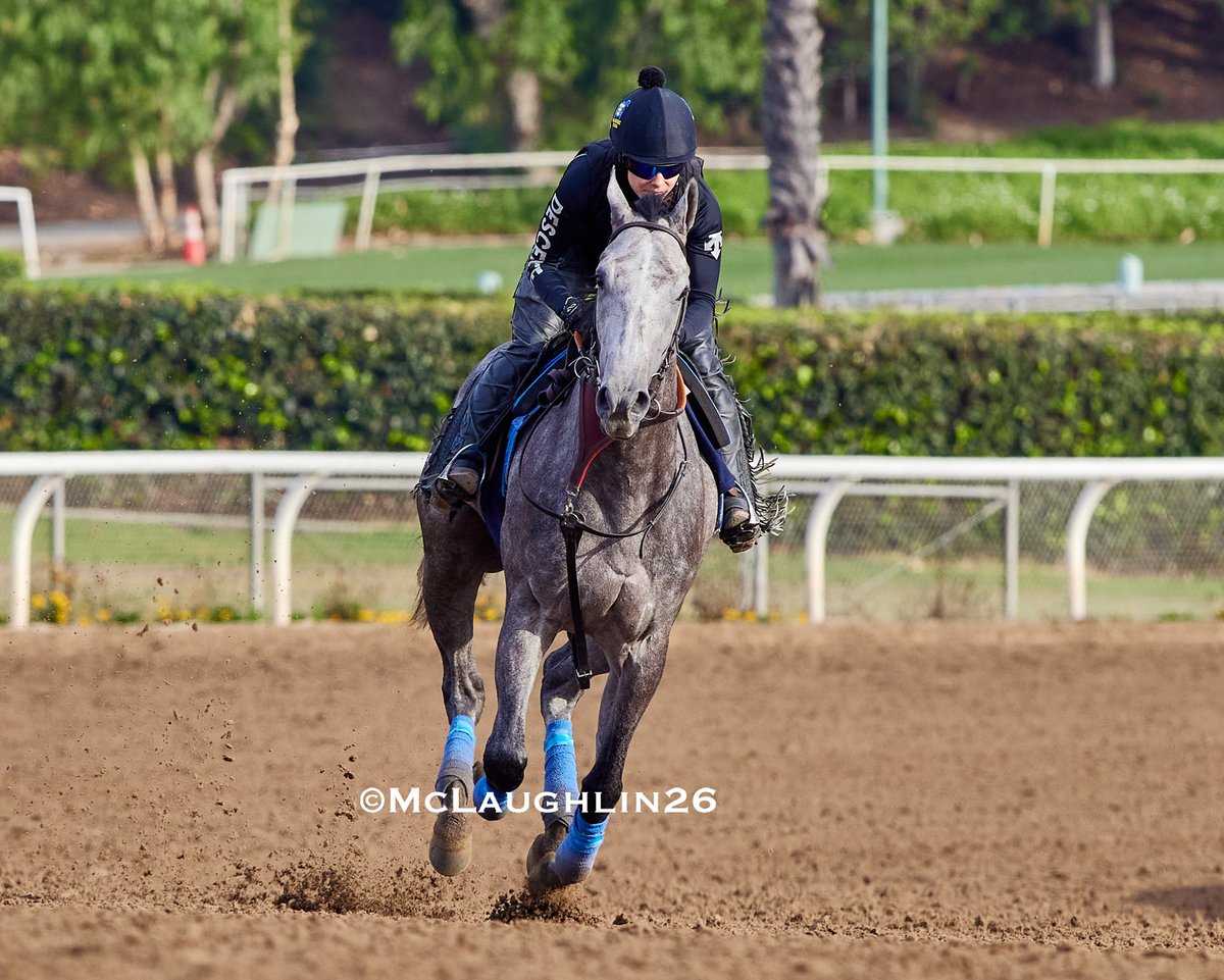 kimo16's tweet photo. Kentucky Oaks bound Bottle of Rouge this morning under Morgane Kervarrec for HoF trainer Bob Baffert @santaanitapark @DerbyMedia @KentuckyDerby @BobBaffert @Morgane_mmk https://t.co/XTGt9UXcSd