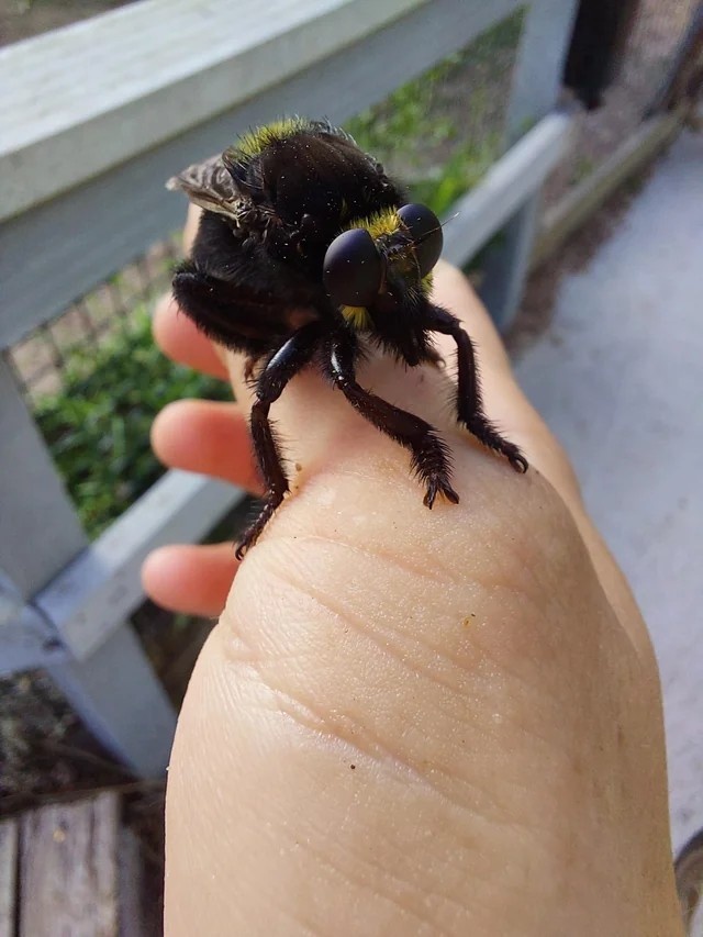 🍂pracklyy⚓ tweet media