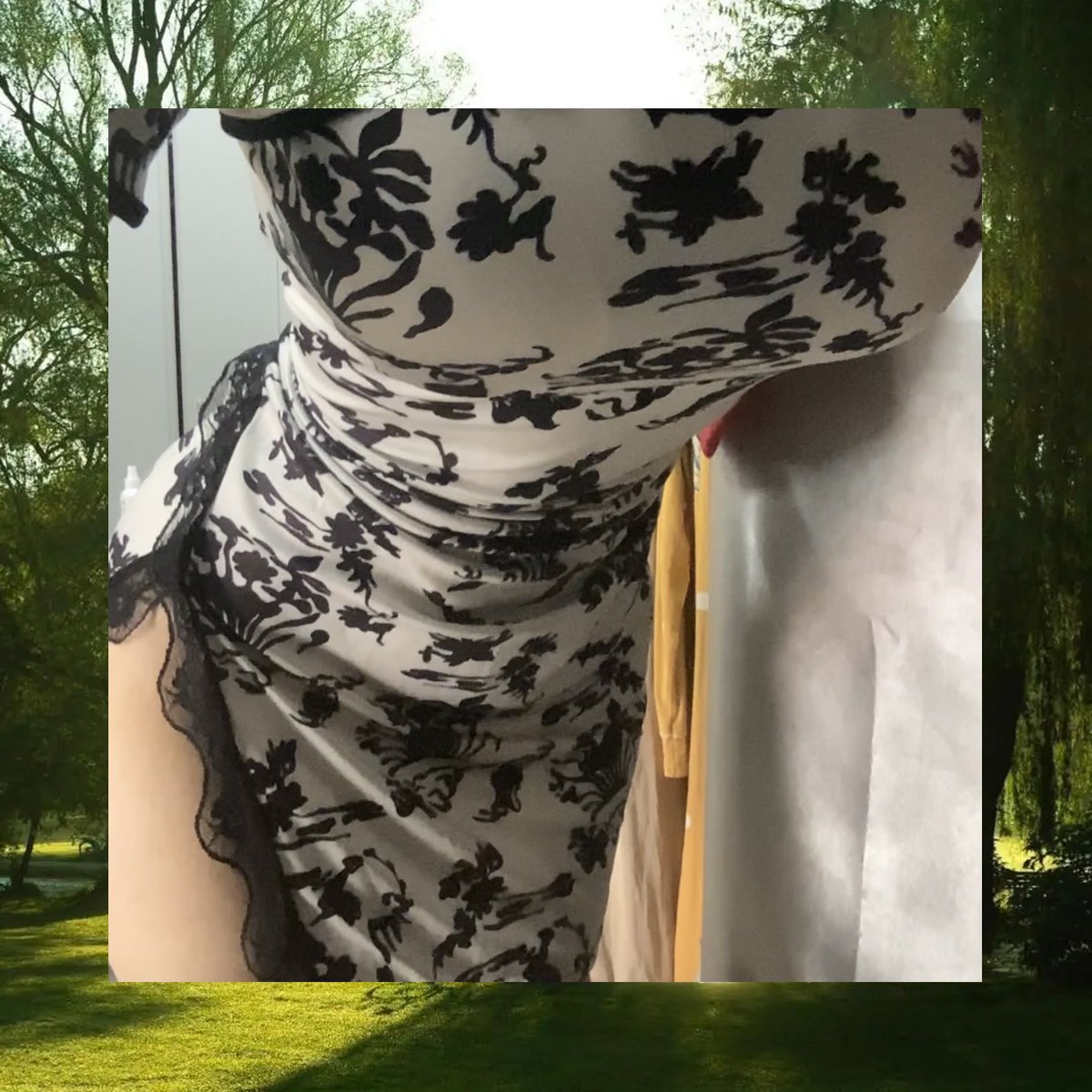 Anibal Cosio tweet media