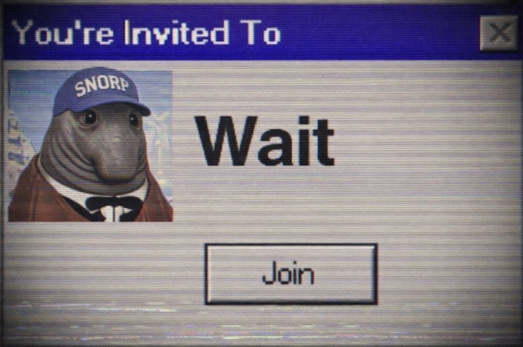 CryptoDripz⛾ tweet media