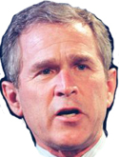 YoungCricketFan tweet media