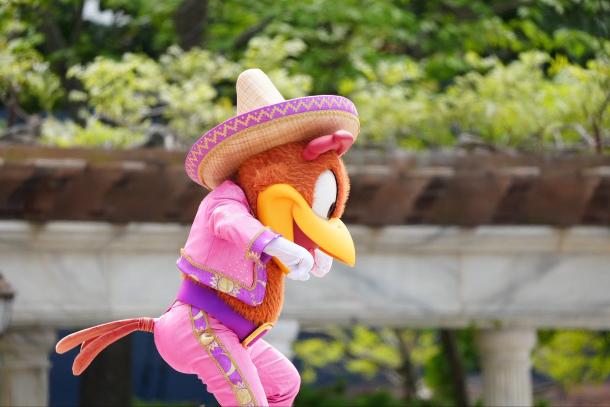 アイギス tweet media