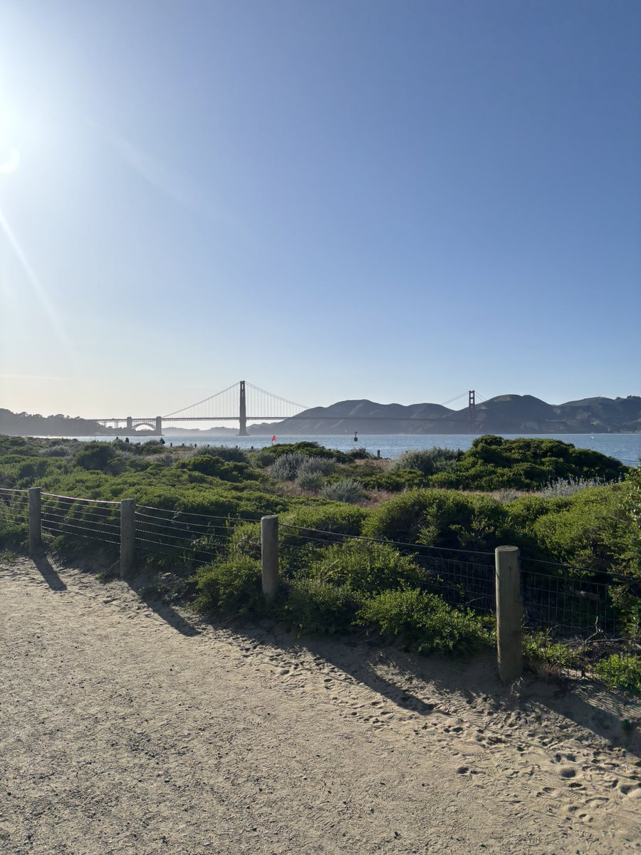 Max Segall tweet media