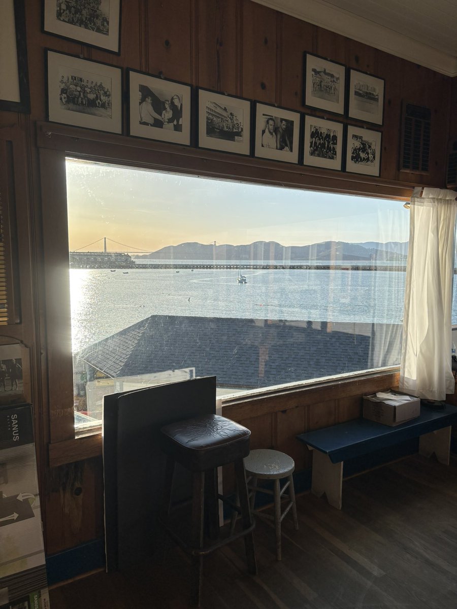 Max Segall tweet media