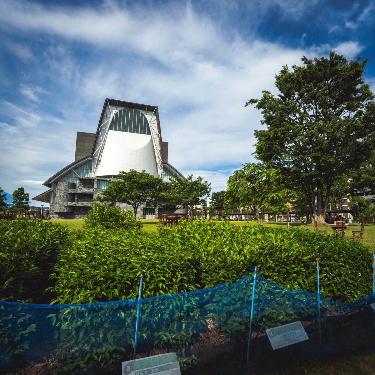 🍀静岡ケモノスクエア🍀 tweet media