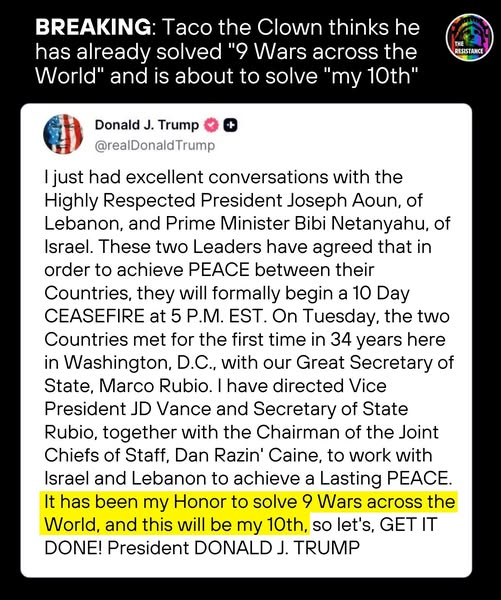 LUNA TOOGIE tweet media