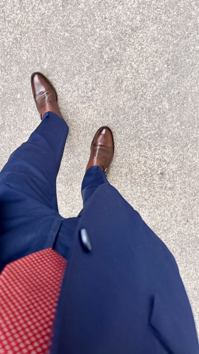 Suited Daily tweet media