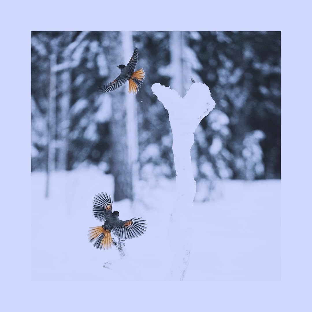 Small, simple meals can bring solace to a weary soul.