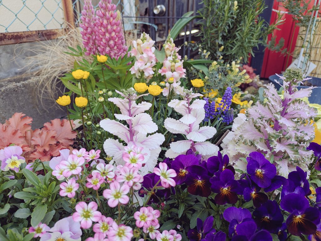 11時OPENです。
本日のメニュー
・ドーナツ６種類
・プリン
・イタリアンプリン
マフィンは昨日のものを値引き販売します。
お取り置きは 0223524796 までお電話ください。

#菓子屋ハウフル 
#塩釜 
#塩竈