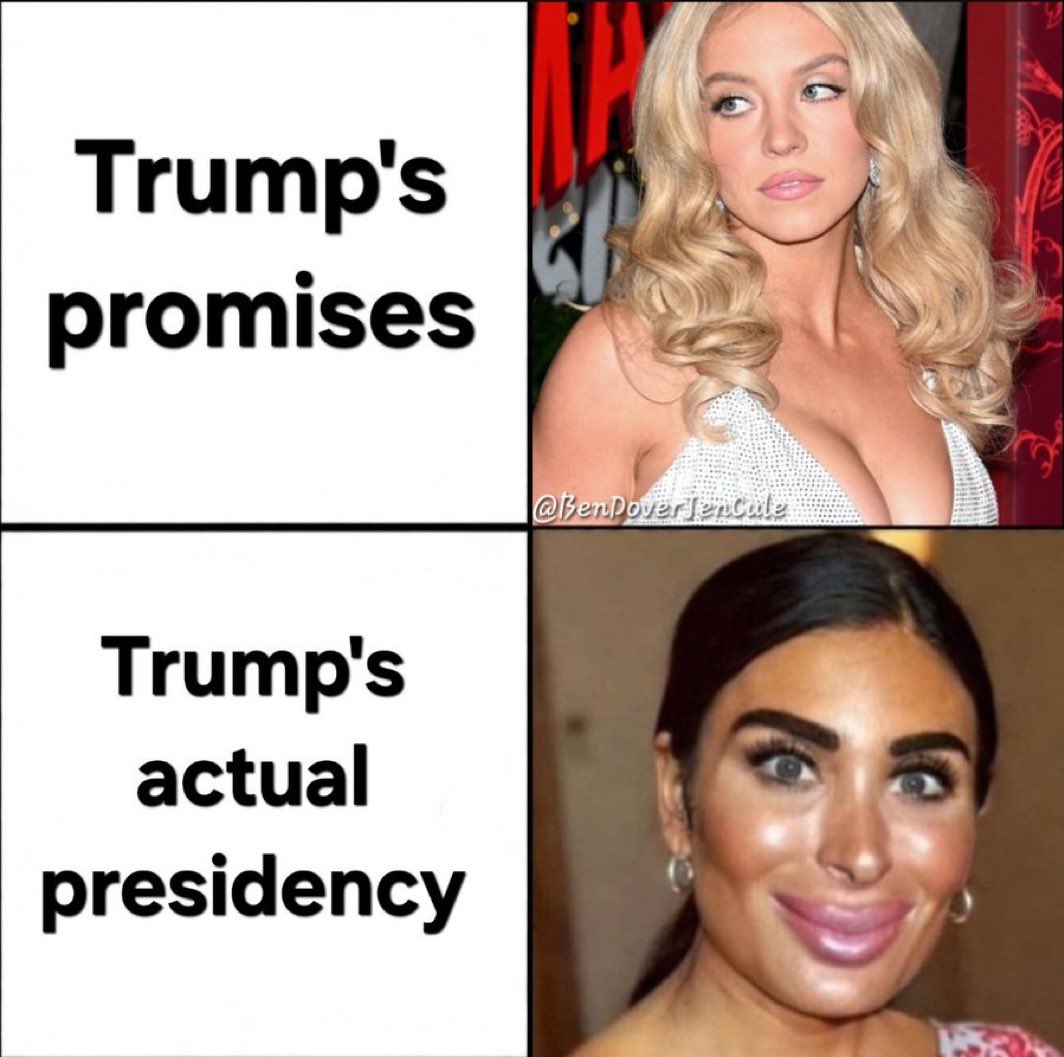 Hartleigh tweet media