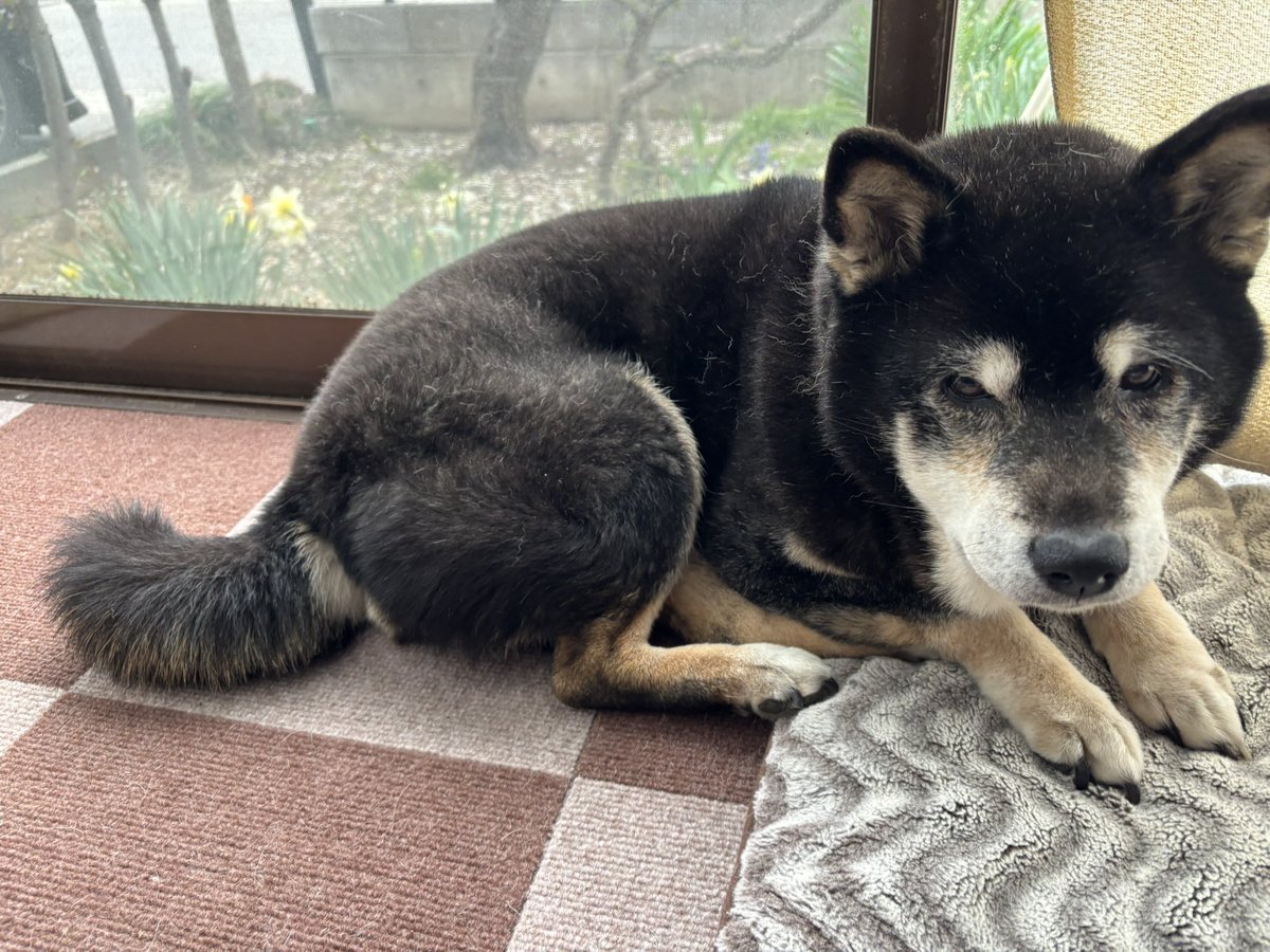 mikko325 tweet media