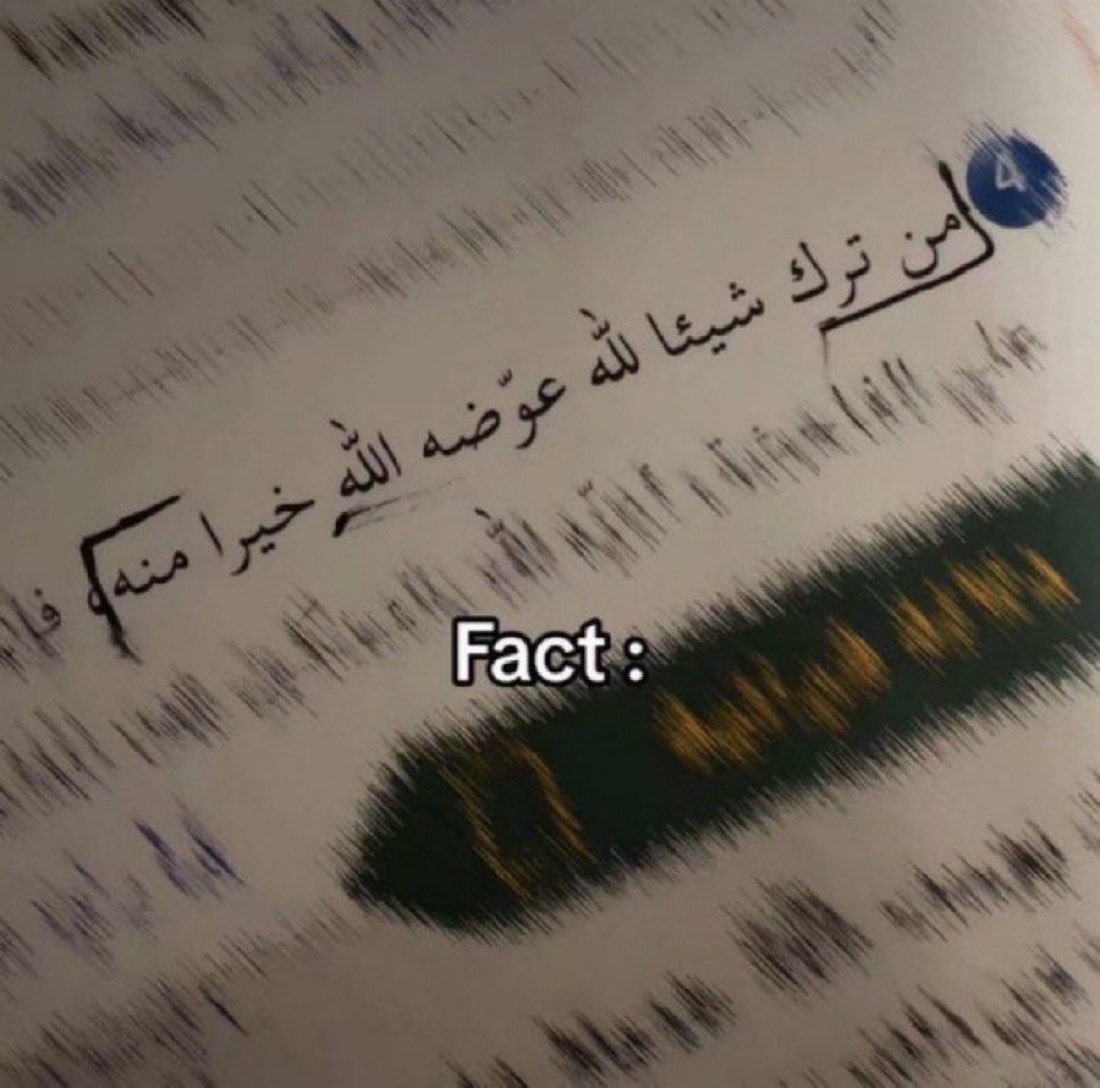 مـوطــن tweet media