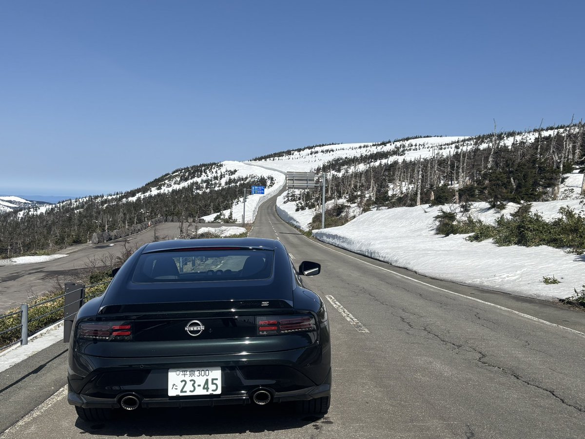 苔抹茶 tweet media