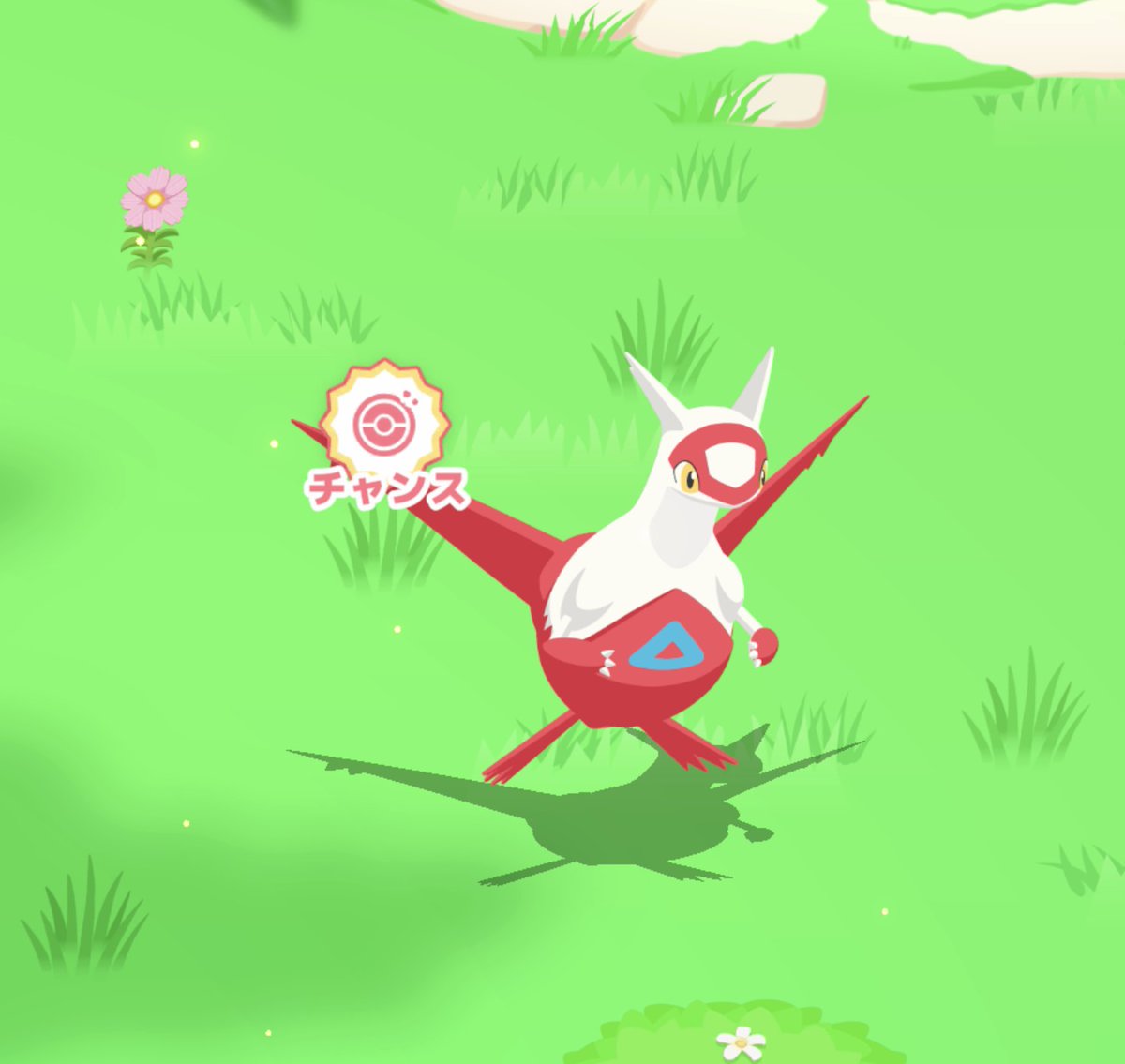 shibu＠ポケスリ垢 tweet media