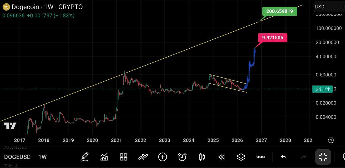 Dogecoinmusk tweet media
